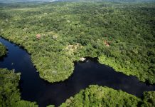 AMAZÔNIA SUSTENTÁVEL