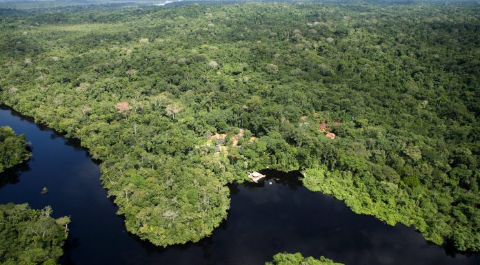 AMAZÔNIA SUSTENTÁVEL