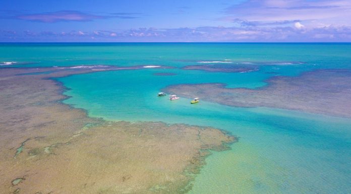 Destino Patacho: o spot perfeito para o seu Réveillon