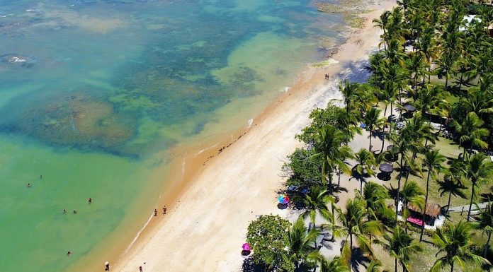 A BLOOM desembarca em Trancoso com uma fusão de música, arte e cultura