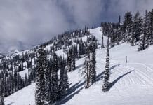 Jackson Hole, Wyoming, é uma região dos Estados Unidos da América abençoada pela natureza.
