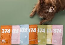 374: Cuidado Integral para o Seu Pet