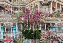 Raffles Hotel Istanbul: o lugar perfeito para celebrar a vida na Turquia